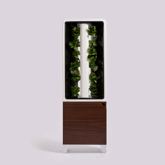 EVE TOWER GARDEN